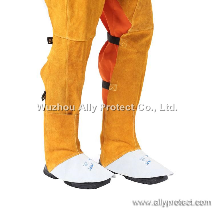 AP-9100 Golden Short Leggings and Spats